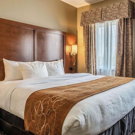 Comfort Suites Near Texas State University San Marcos Luaran gambar